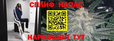 mdma Гай