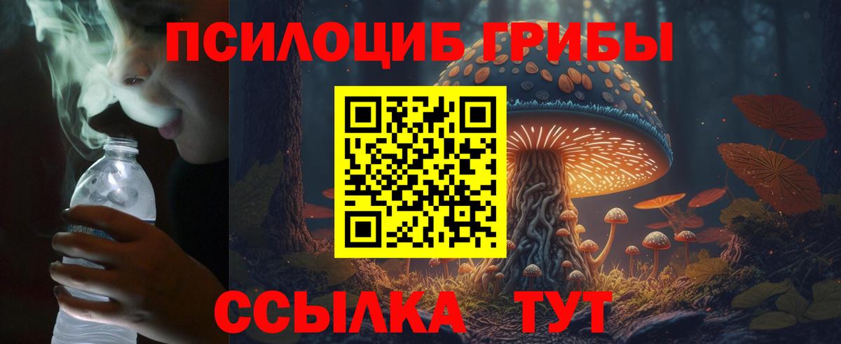 Псилоцибиновые грибы GOLDEN TEACHER Лениногорск